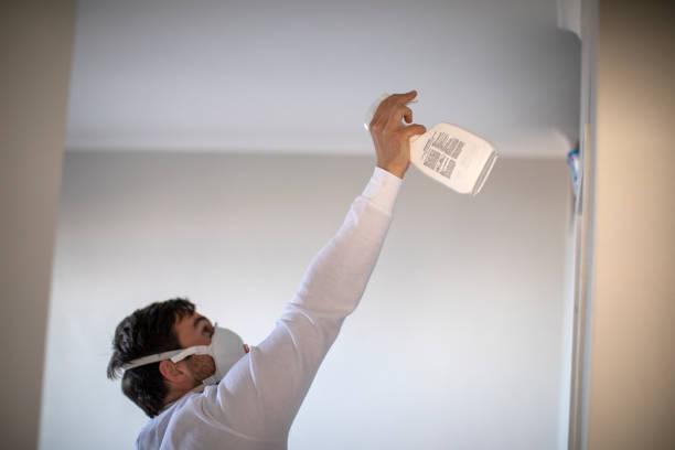 Best Kitchen Mold Remediation in Whitehouse, OH